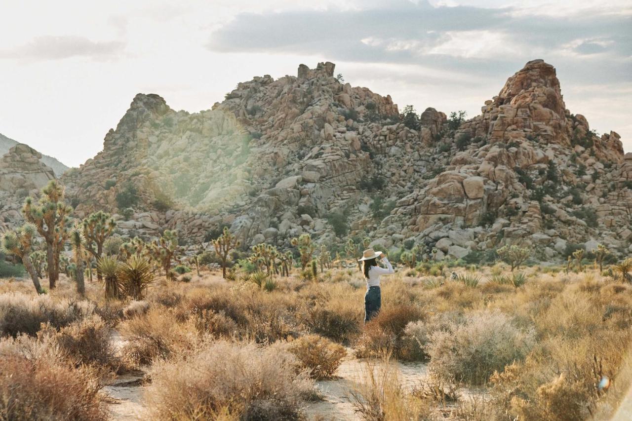 Hotel Field Station Joshua Tree Yucca Valley Esterno foto